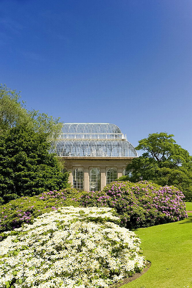 The Palm House surrounded by rhododendrons and hydrangeas at The Royal Botanic Garden, Edinburgh, Scotland, United Kingdom, Europe