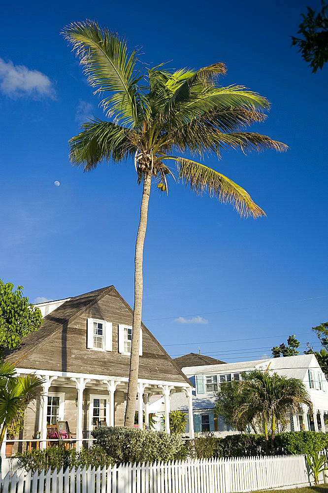 A palm tree growing over a colonial style house in Dunmore Town, Harbour Island, The Bahamas, West Indies, Caribbean, Central America