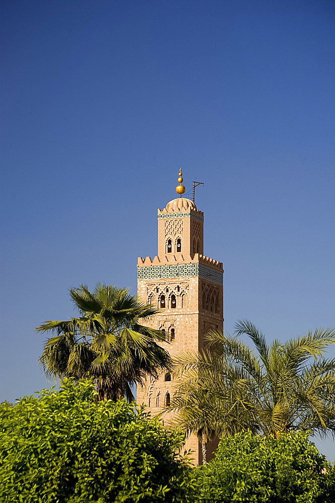 The minaret of the Koutoubia Mosque surrounded by palm trees in Marrakech, Morocco, North Africa, Africa