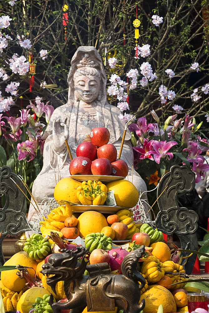 Tet Lunar New Year offerings of fruit and money at the Diem Huu Pagoda in Hanoi, Vietnam, Indochina, Southeast Asia, Asia