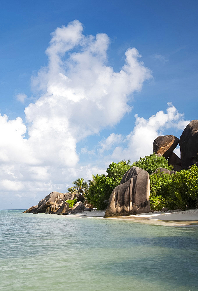 Distinctive large granite boulders and palm trees on Anse Source d'Argent, La Digue, Seychelles, Indian Ocean, Africa