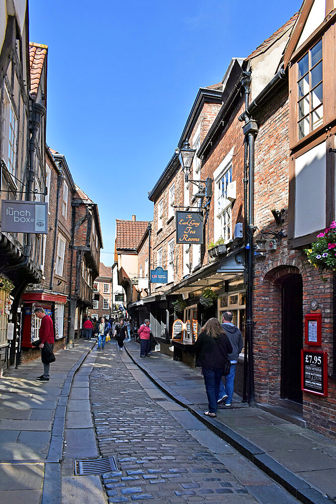 The Shambles, the ancient street of the butchers of York, mentioned in the Doomsday Book of William the Conqueror, York, Yorkshire, England, United Kingdom, Europe