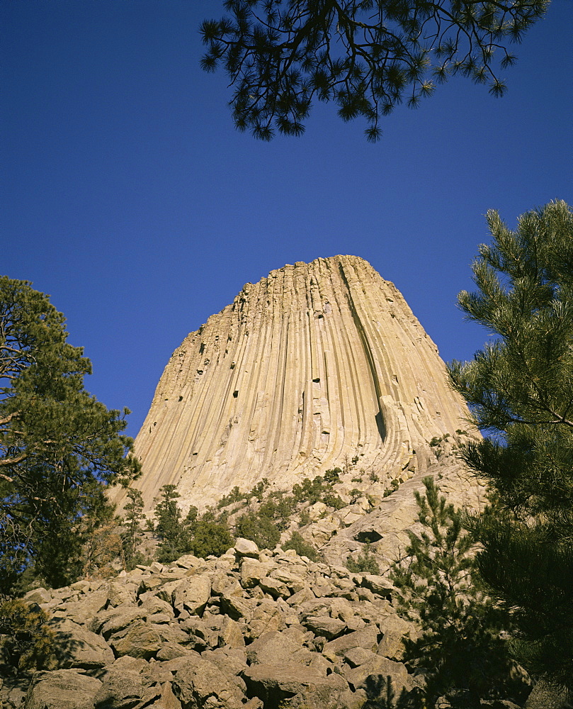 Devil's Tower, Wyoming, United States of America, North America