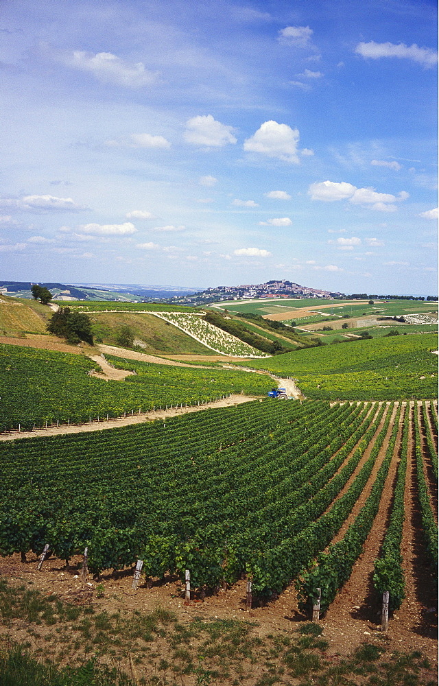 Vineyards, Loire Valley and Sancerre in the Distance, France