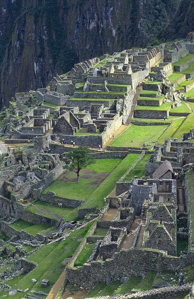 Machu Picchu Ancient Ruins, Peru