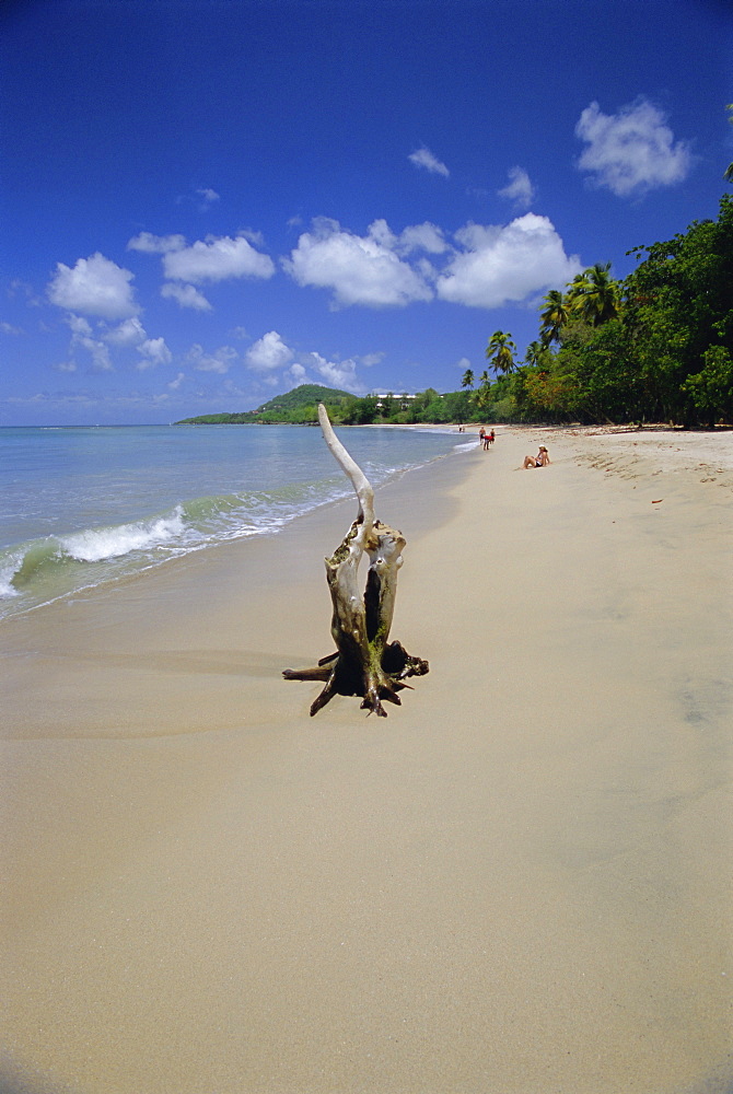 Beach at Choc Bay, St. Lucia, Windward Islands, West Indies, Caribbean, Central America