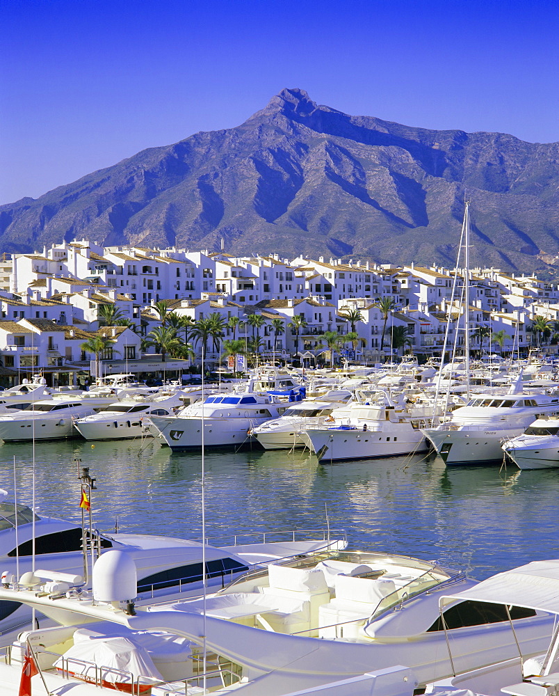 Puerto Banus, near Marbella, Costa del Sol, Andalucia (Andalusia), Spain, Europe