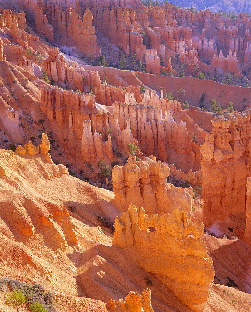 Rock Hoodoos from Sunset Point, Bryce Canyon National Park, Utah, USA, North America