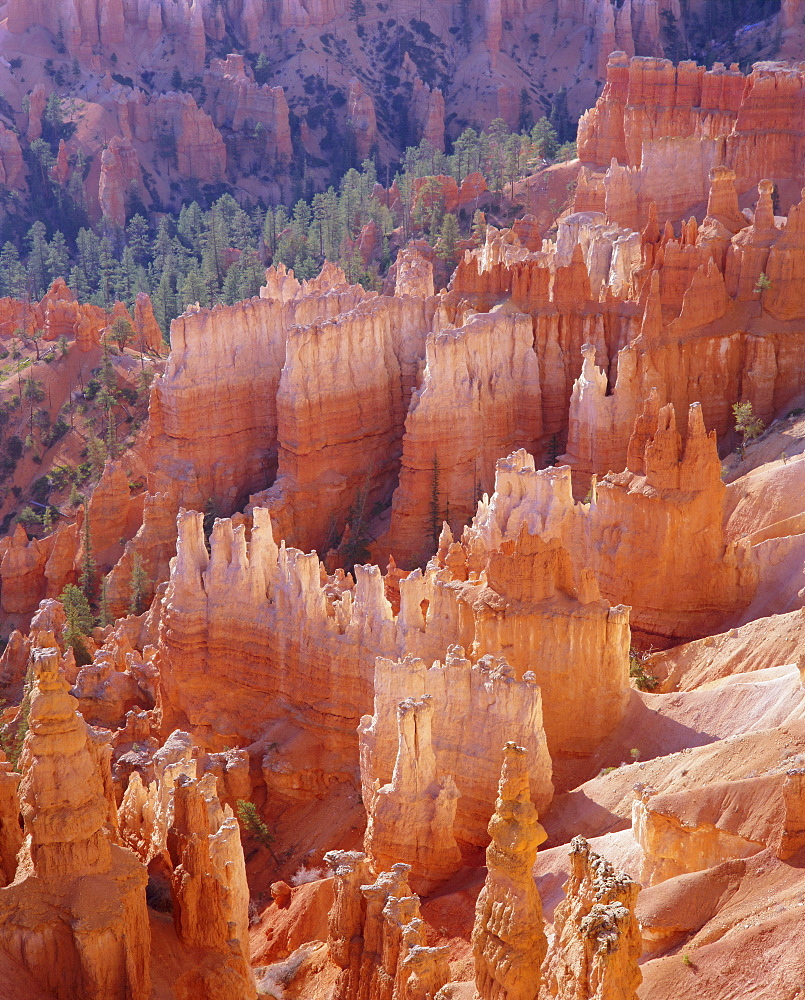 Rock Hoodoos from Sunset Point, Bryce Canyon National Park, Utah, USA, North America