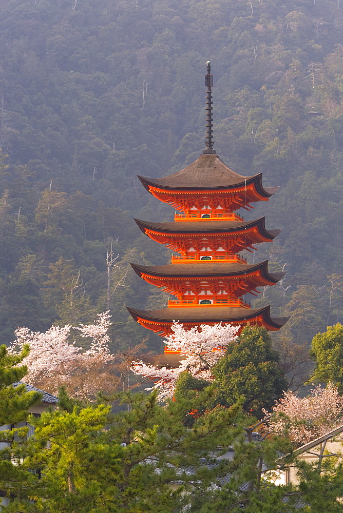 Cherry blossoms (sakura) and the famous five-storey pagoda dating from 1407, Itsukushima (Itsuku-shima) shrine, Miyajima, Hiroshima area, island of Honshu, Japan, Asia