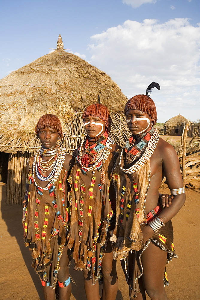 Portrait of three young women of the Hamer tribe, their hair treated with ochre, water and resin and twisted into tresses known as goscha, Lower Omo Valley, southern Ethiopia, Ethiopia, Africa