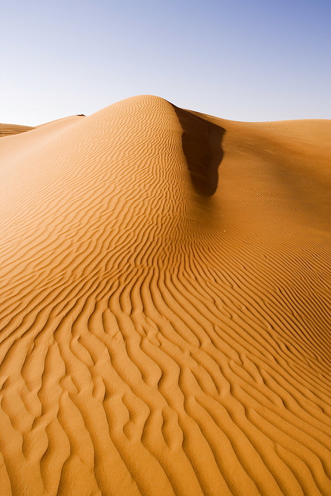 Sand dunes, Dubai, United Arab Emirates, Middle East