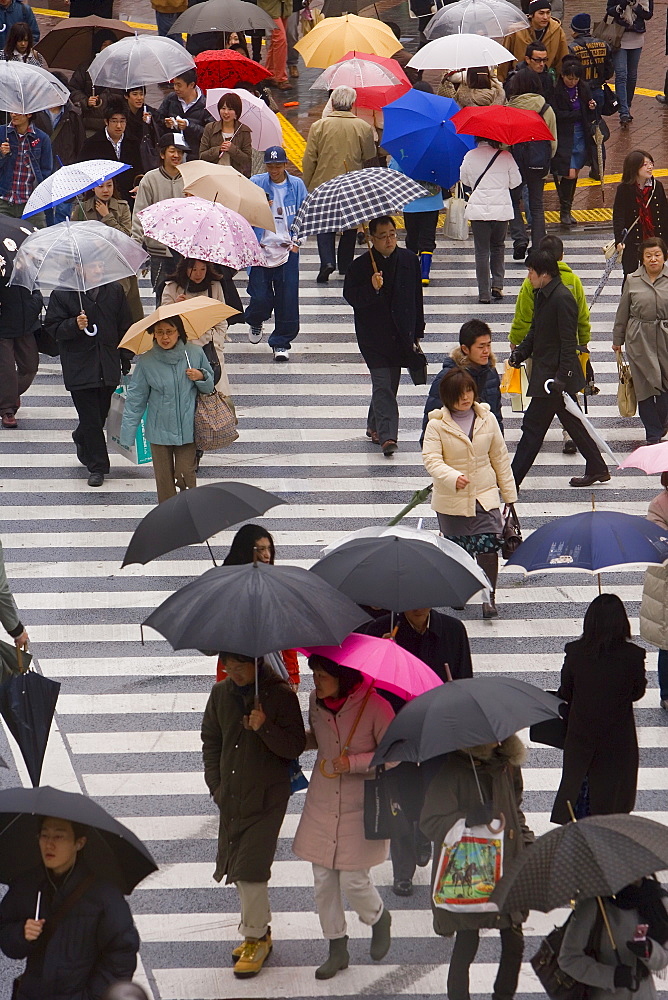 Pedestrians crossing a busy intersection with umbrellas on a rainy day, Shibuya, Tokyo, Honshu, Japan, Asia