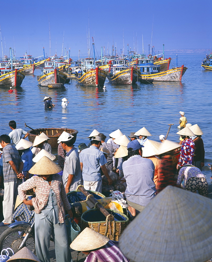 Fishing village people collecting the morning catch from fishing boat fleet, Mui Ne, south-central coast, Vietnam, Indochina, Southeast Asia, Asia