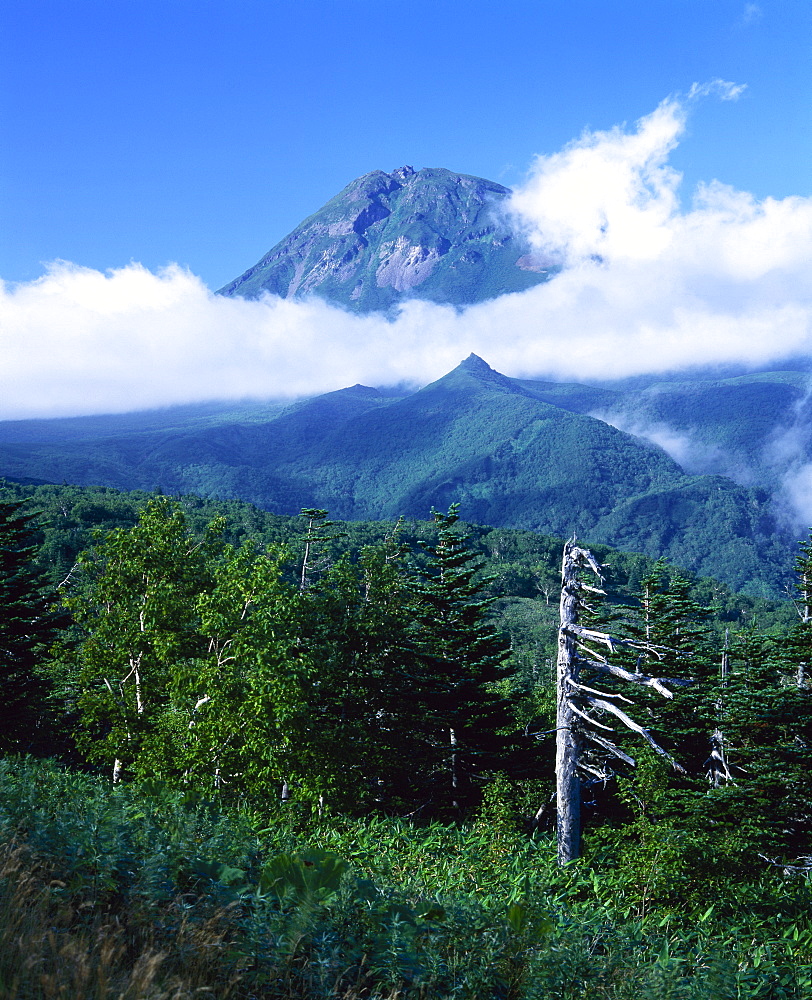 Mount Rauso-dake with low cloud, Shiretoko Peninsula, Hokkaido, Japan, Asia