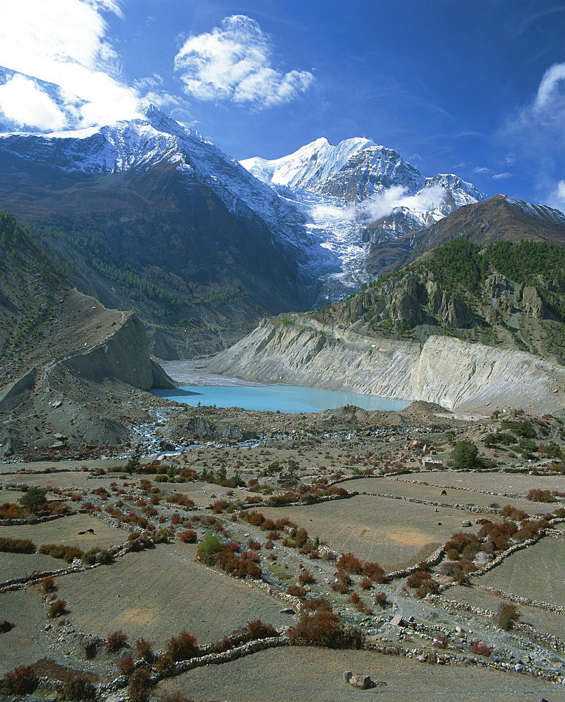 Fields beside a lake at the foot of Mount Gangapurna, in the Manang Region of the Himalayas, Nepal, Asia