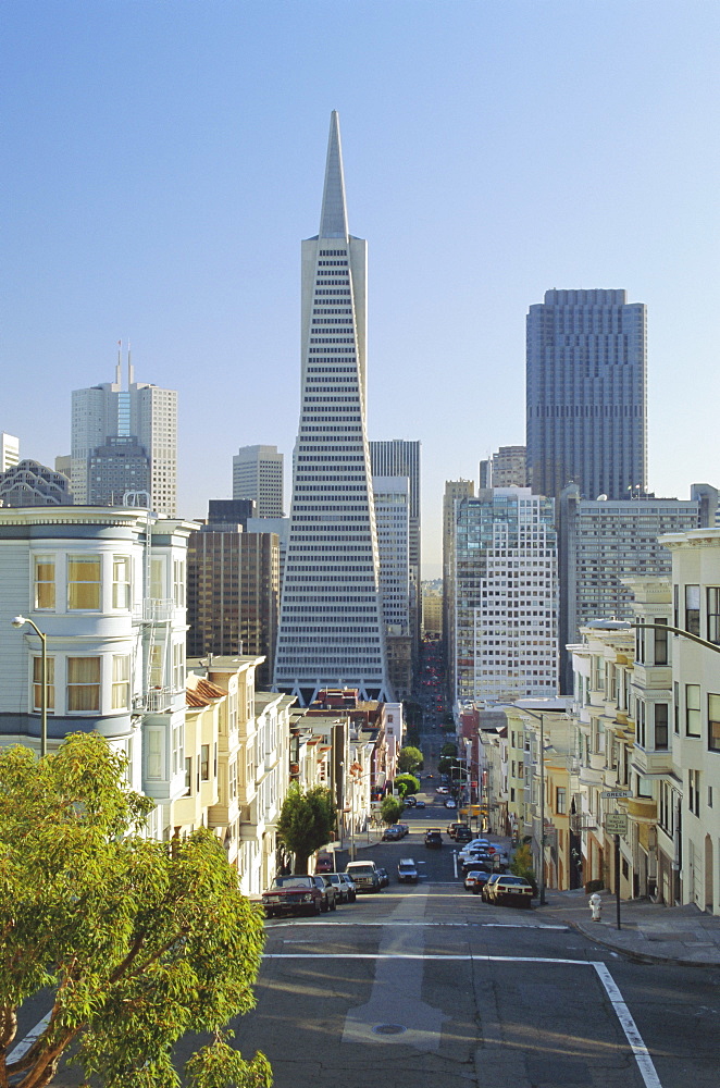 TransAmerica Pyramid, San Francisco, California, USA, North America