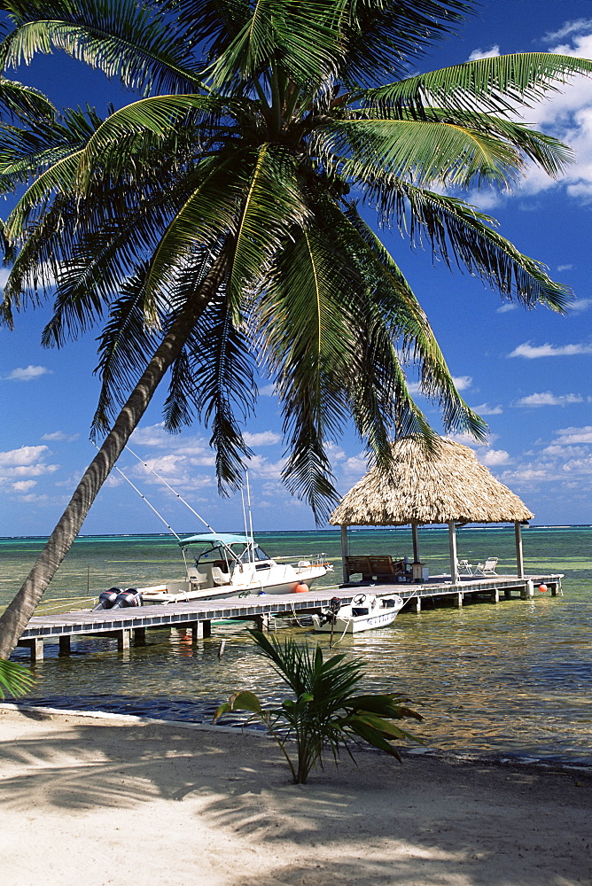 Main dive site in Belize, Ambergris Caye, Belize, Central America