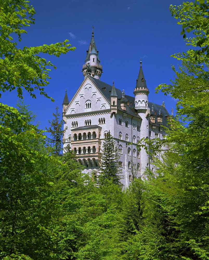 Royal castle, Neuschwanstein, Bavaria, Germany, Europe