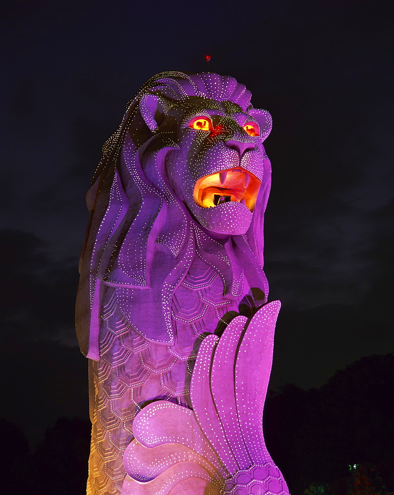 The Merlion statue, the symbol of Singapore, in purple light at night in Singapore, Southeast Asia, Asia