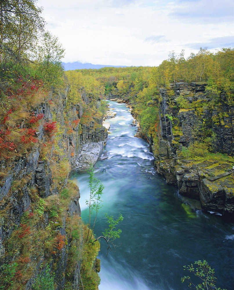 Abisko River Gorge, Abisko National Park, Lappland, Sweden, Scandinavia