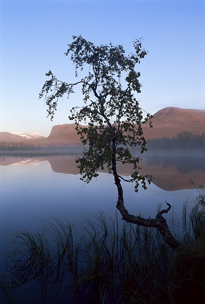 Autumn colours, Laponia, UNESCO World Heritage Site, Lappland, Sweden, Scandinavia, Europe