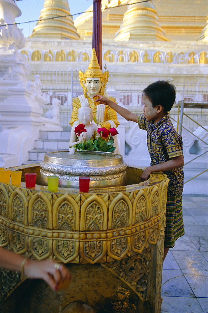 A boy places offerings to the Buddha, Shwedagon Paya (Shwe Dagon pagoda), Yangon (Rangoon), Myanmar (Burma), Asia