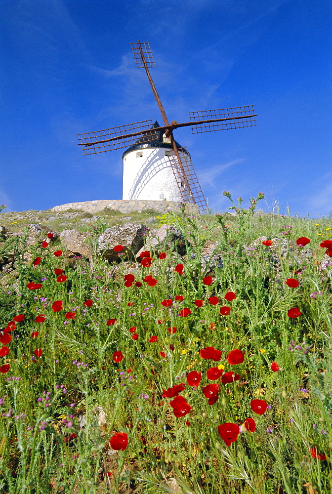 Windmill in Consuegra, Castilla La Mancha, Spain