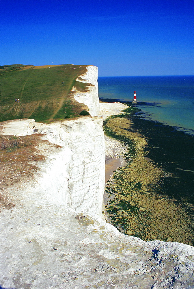 Lighthouse and chalk cliffs of Beachy Head near Eastbourne from the South Downs Way, East Sussex, England, UK, Europe