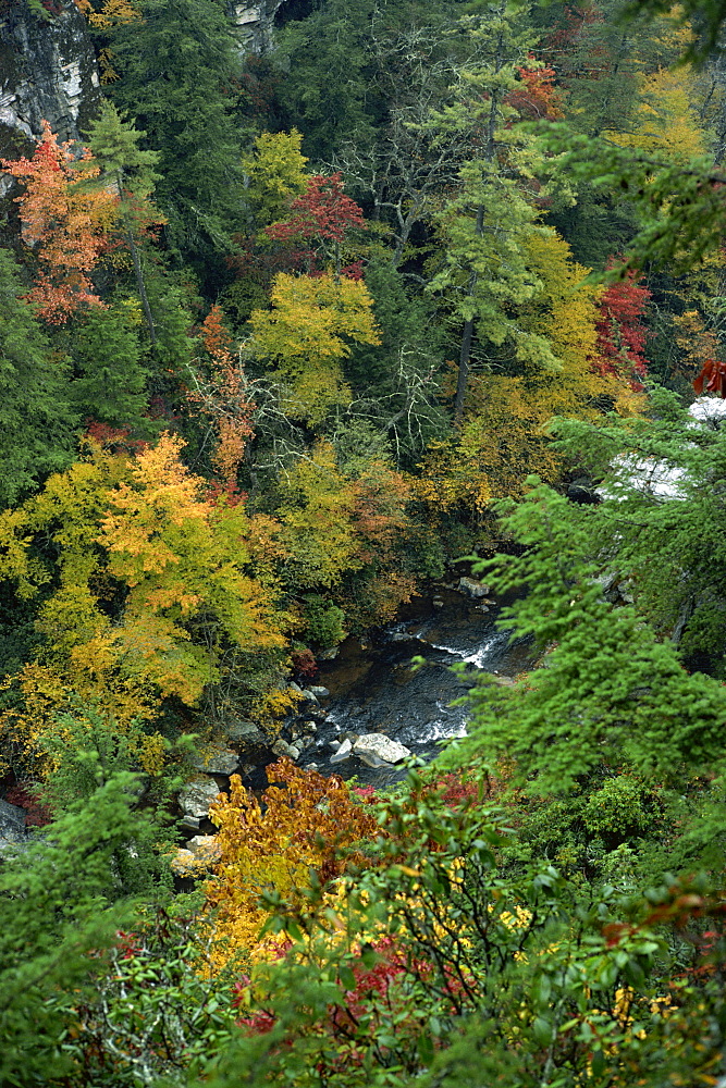 Aerial view over river running through the Linville Gorge and autumnal forest canopy, Blue Ridge Parkway, North Carolina, United States of America, North America