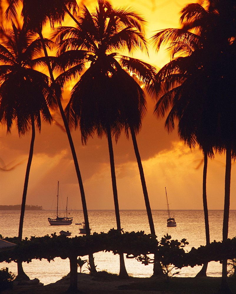 Mount Irvine Bay, Tobago, Caribbean, West Indies