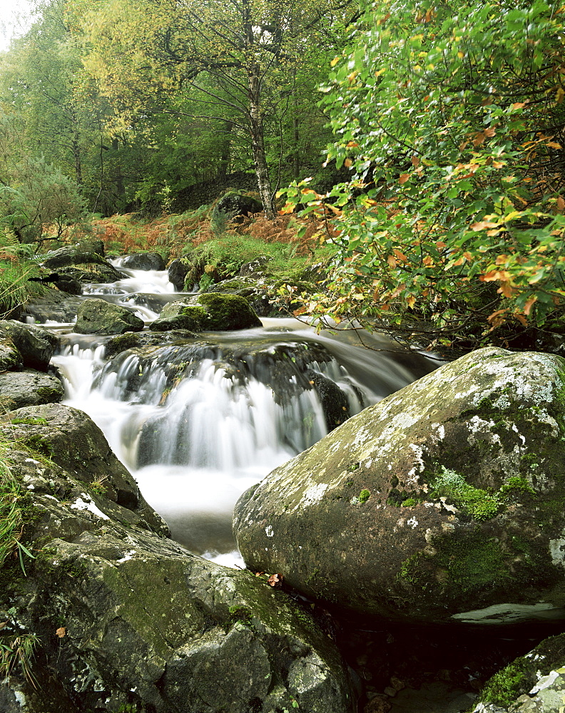 Barrow Beck and autumnal foliage, near Ashness Bridge, Lake District, Cumbria, England, United Kingdom, Europe