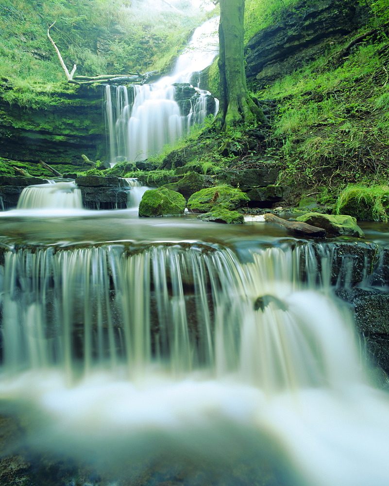 Scalebor Force,  near Skipton, North Yorkshire, England