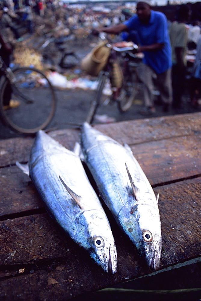 Two fish for sale at the daily morning fish market, Stone Town, island of Zanzibar, Tanzania, East Africa, Africa