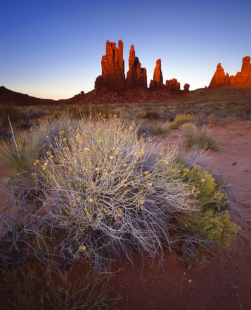 Sandstone pillars bathed in golden evening light, Monument Valley Navajo Tribal Park, border of Utah and Arizona, United States of America, North America