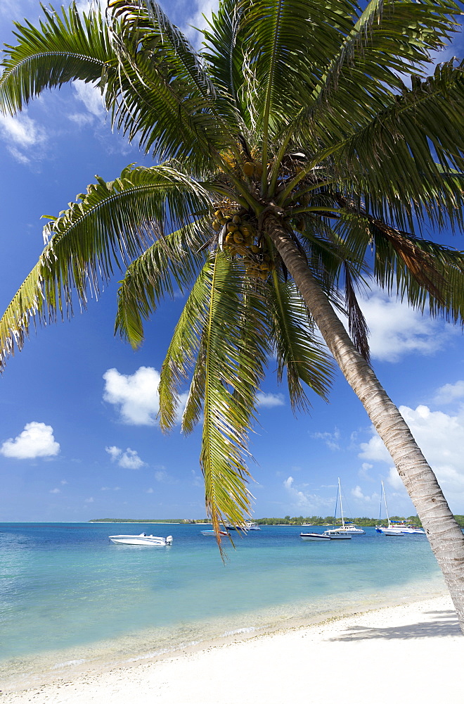 Beach scene with palm trees, blue sky and boats moored on the Indian Ocean at Trou D'eu Douce, a village on the east coast of Mauritius where tourists catch ferries to the idyllic island of Ile Aux Cerfs, Mauritius, Indian Ocean, Africa