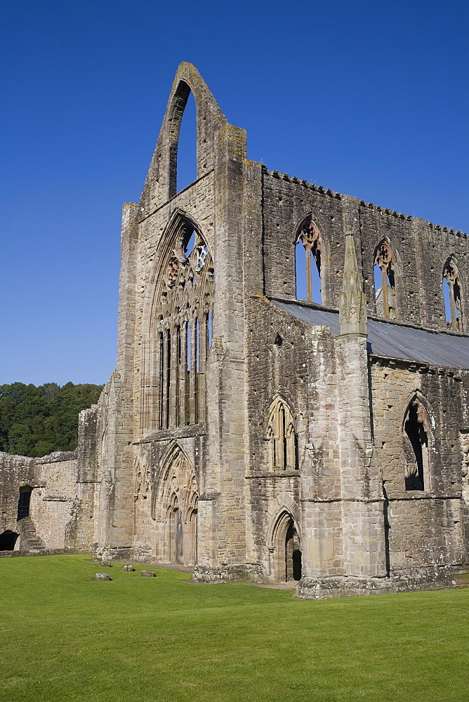 Vertical view of West front and South west corner of Tintern Abbey, Monmouthshire, Wales, United Kingdom, Europe