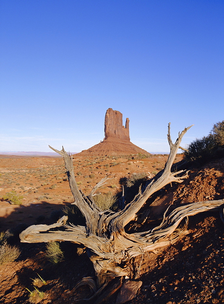 Left Mitten Butte, Monument Valley, Arizona, USA