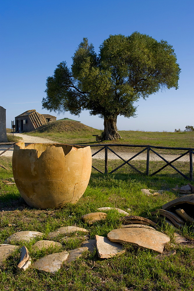 Tarquinia, Viterbo, Lazio, Italy, Europe