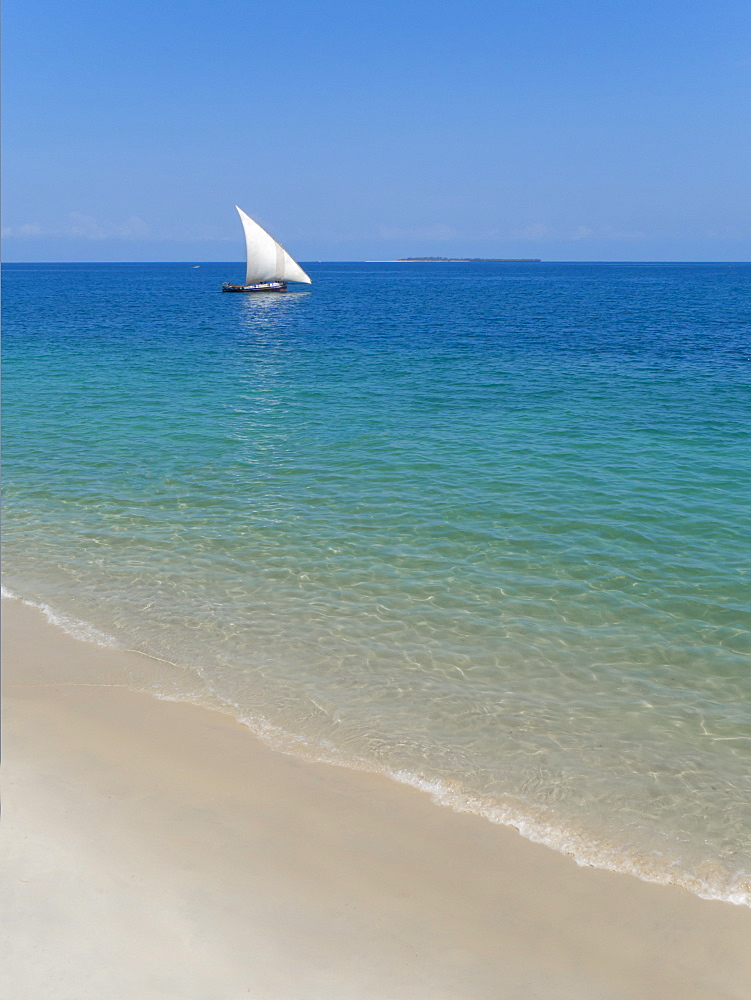 Beach and Indian Ocean dhow, Zanzibar, Tanzania, East Africa, Africa