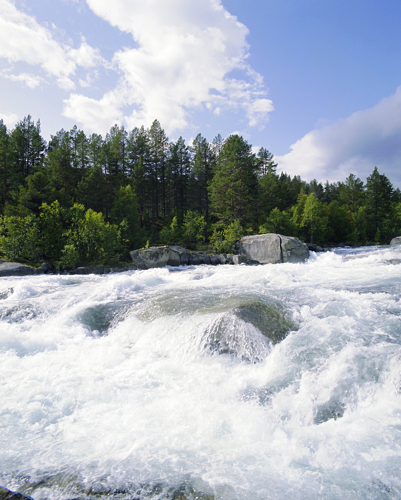 Buskerrud, river near Gol, Norway, Scandinavia, Europe