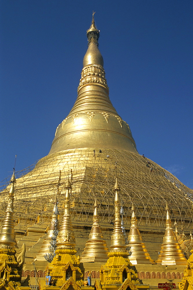 Workers on bamboo scaffolding applying fresh gold leaf to the Shwedagon Pagoda, Yangon (Rangoon), Myanmar (Burma), Asia