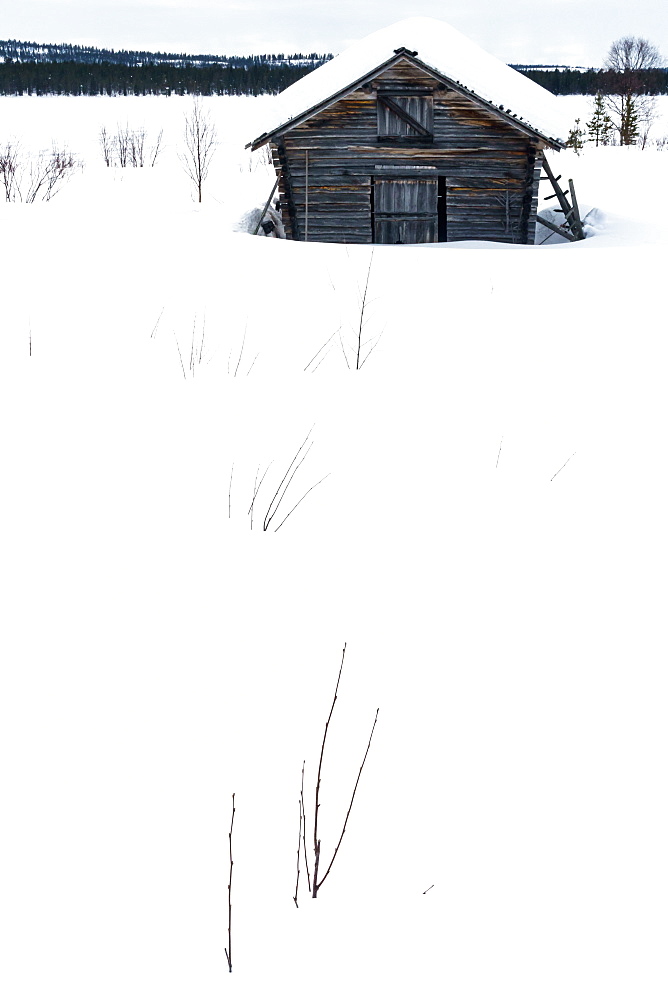 Clapboard barn buried in the snow in stark landscape, Torassieppi, Lapland, Northern Finland, Scandinavia, Europe