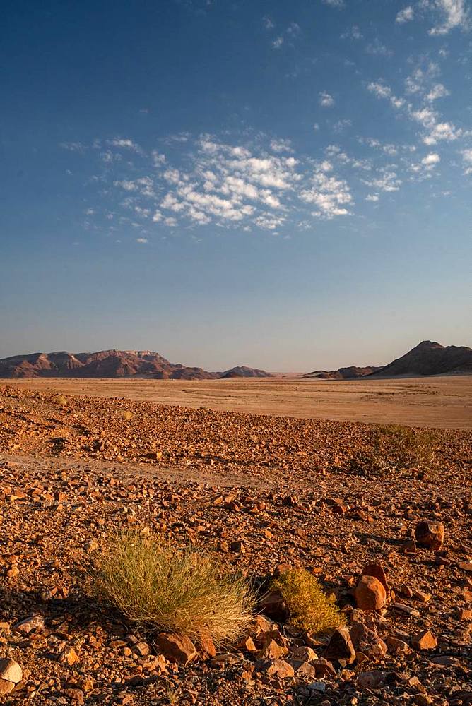 Mountains and gravel plain, Sossusvlei area, at dusk, Namib-Naukluft, Namibia, Africa