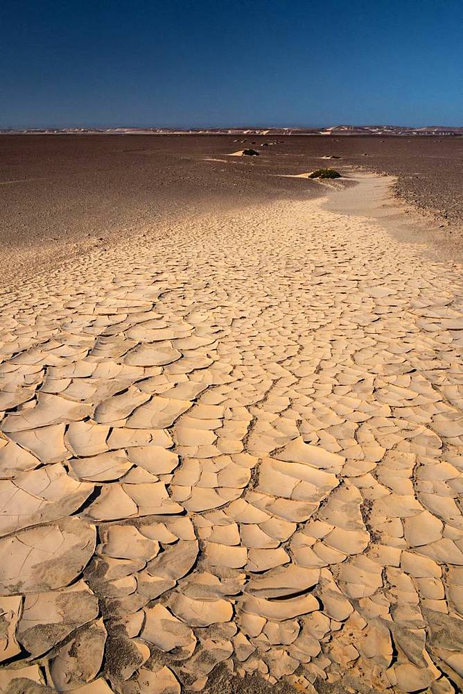 Baked white clay creates surreal pathway in the desert near the infamous Skeleton Coast, Namibia, Africa