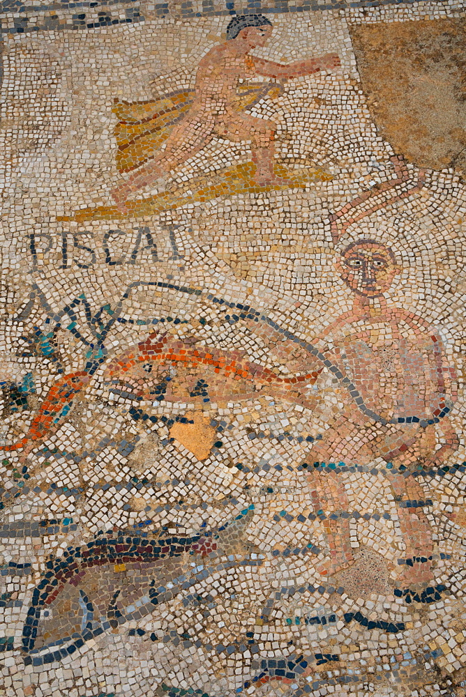 Detail of mosiac of fishermen from the Roman ruins at Volubilis, UNESCO World Heritage Site, near Meknes, Morocco, North Africa, Africa