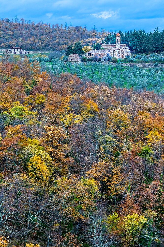 Pieve Di San Pietro A Sillano with olive trees and oak wood in foreground, Greve in Chianti, Tuscany, Italy, Europe