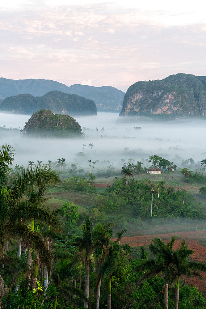 Val de Vinales, UNESCO World Heritage Site, early morning mist, Vinales, Cuba 1