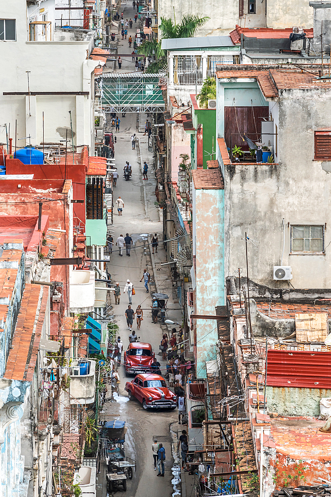 Aerial view of O'Reilly Street with two maroon classic cars edging their way down, Old Havana, Cuba