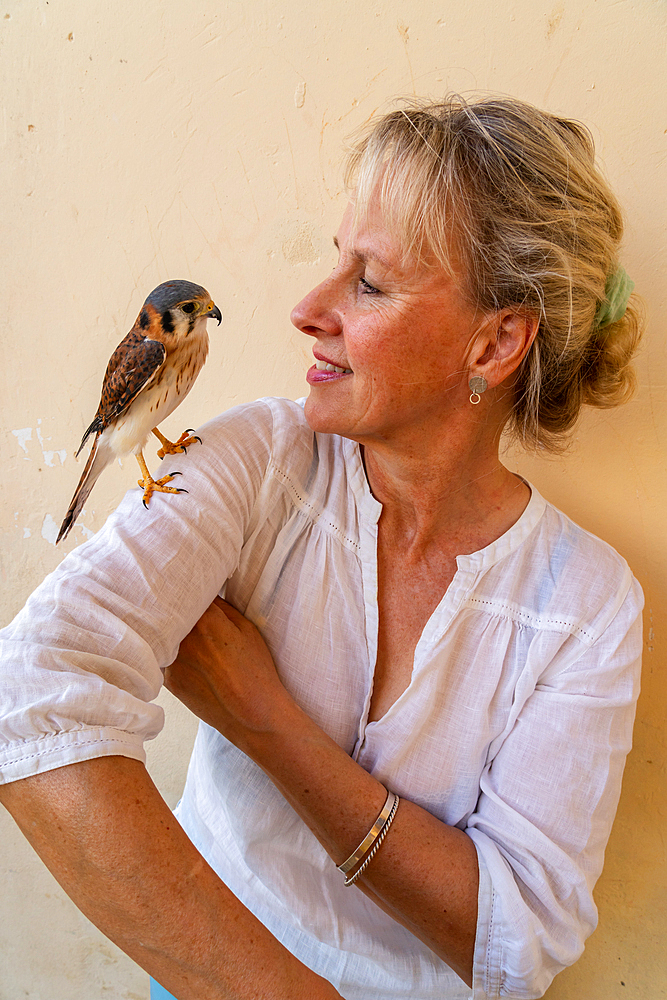 Tourist plays with a Cuban Kestrel (Falco kurochkini) on her shoulder, Valle de los Ingenios, near Trinidad, Cuba (Model Release)